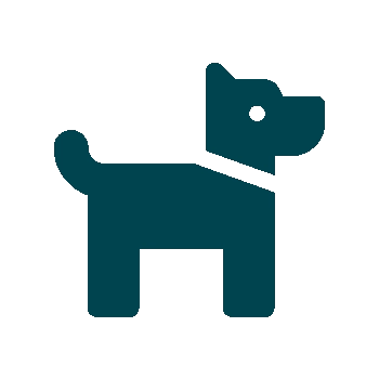 conatct_phone.svg